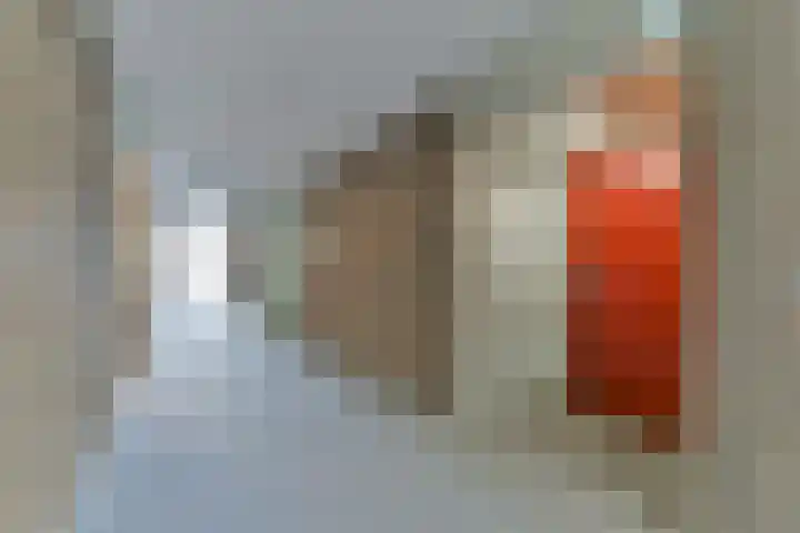 Zaaier 82 Leusden thumbnail 5