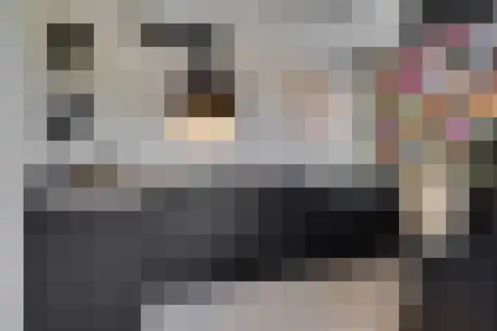 Zaaier 90 Leusden thumbnail 11