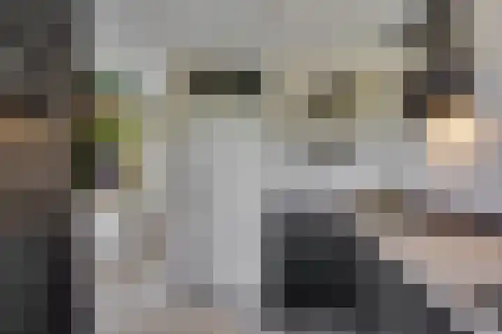 Zaaier 90 Leusden thumbnail 13
