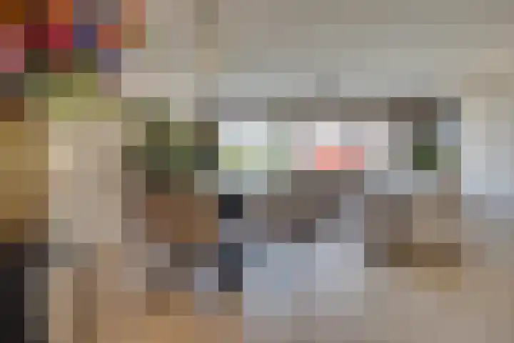 Zaaier 90 Leusden thumbnail 16
