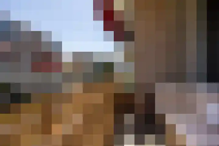 Zaaier 90 Leusden thumbnail 19