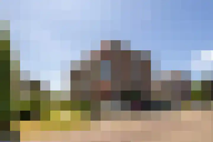 Zaaier 90 Leusden foto 2