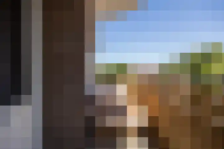 Zaaier 90 Leusden thumbnail 21