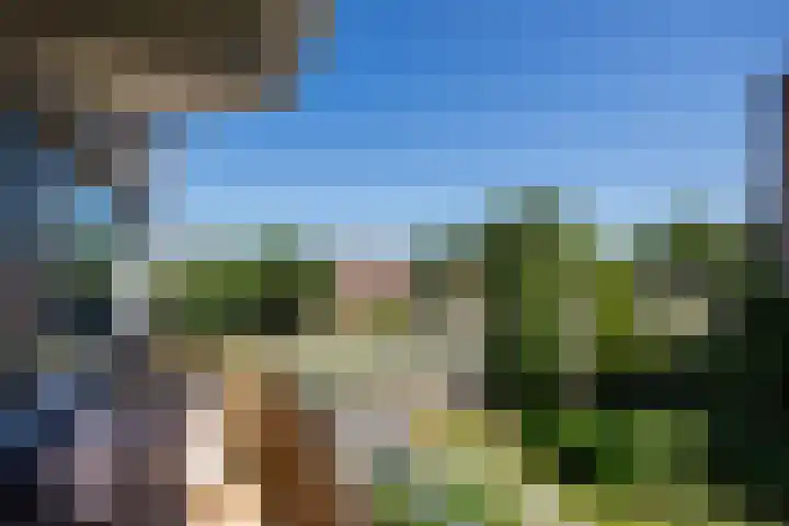 Zaaier 90 Leusden thumbnail 22