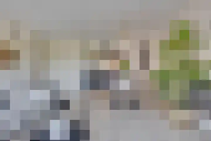 Zaaier 90 Leusden thumbnail 23