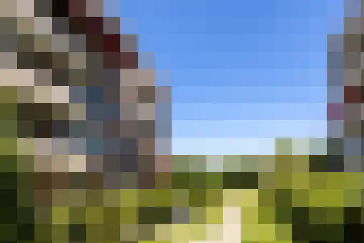 Zaaier 90 Leusden thumbnail 29
