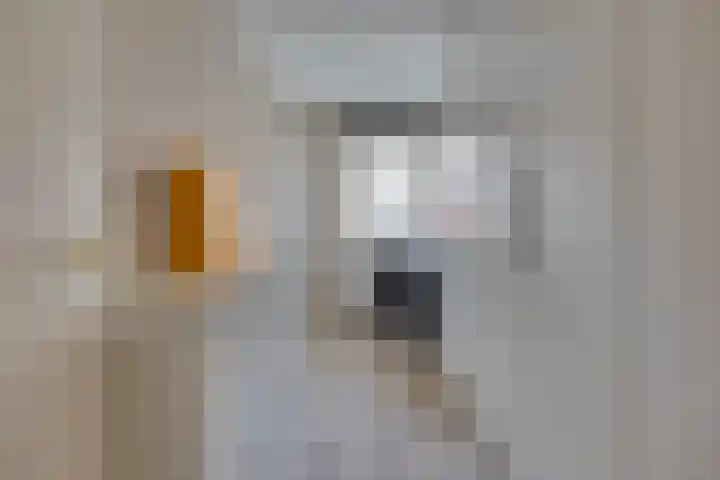 Zaaier 90 Leusden thumbnail 5