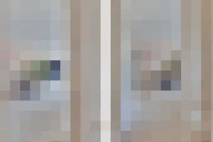 Zaaier 90 Leusden thumbnail 8