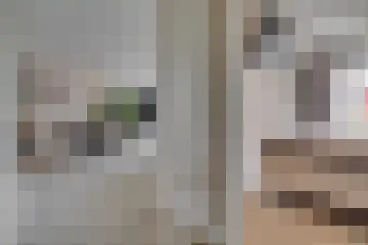 Zaaier 90 Leusden thumbnail 9