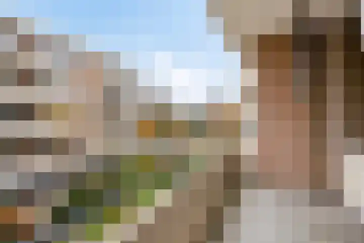 Zaaier 96 Leusden thumbnail 12