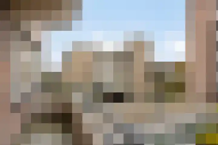 Zaaier 96 Leusden thumbnail 13