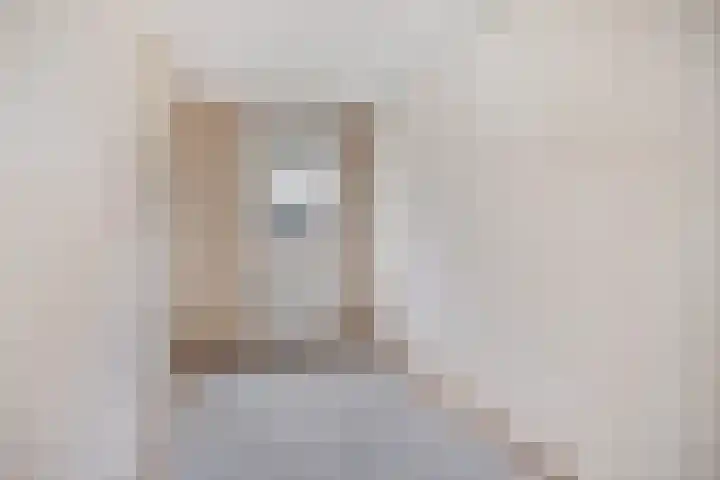 Zaaier 96 Leusden thumbnail 14