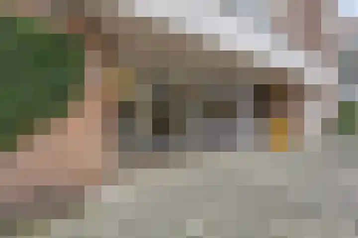 Zaaier 96 Leusden thumbnail 21