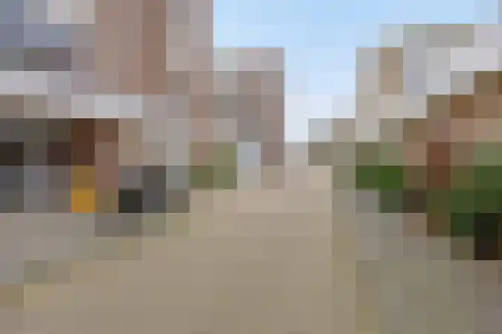 Zaaier 96 Leusden thumbnail 22