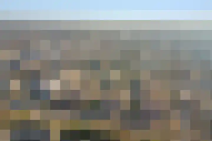 Zaaier 96 Leusden thumbnail 24
