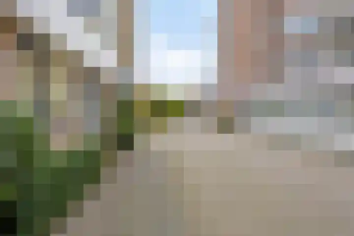 Zaaier 96 Leusden thumbnail 25