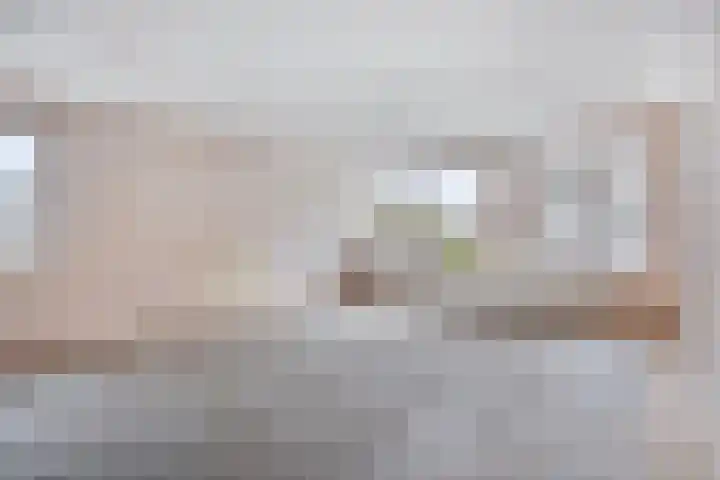 Zaaier 96 Leusden foto 3