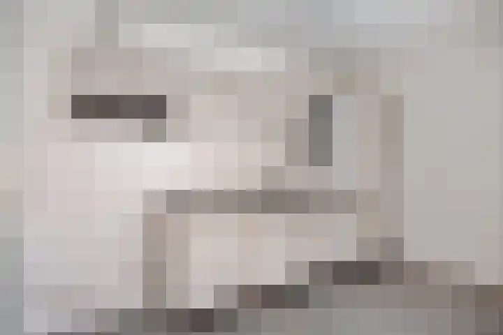 Zaaier 96 Leusden thumbnail 6