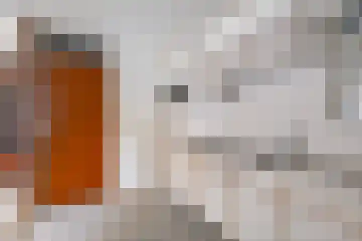 Zaaier 96 Leusden thumbnail 7