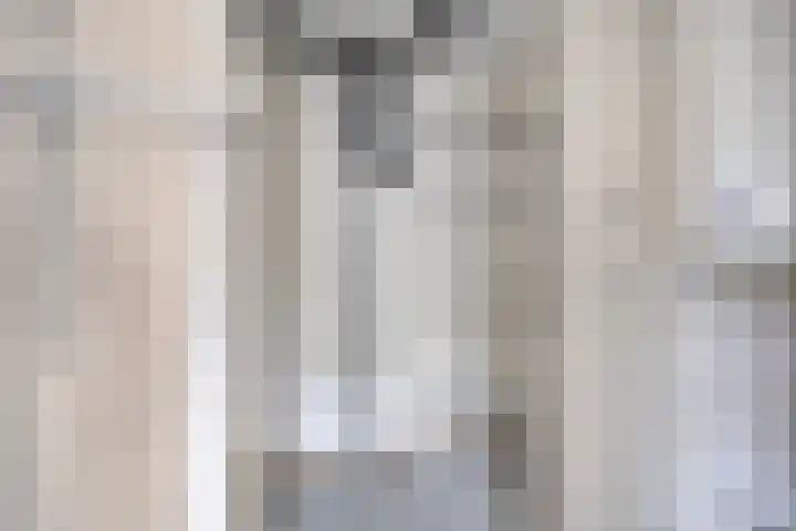 Zaaier 96 Leusden thumbnail 8