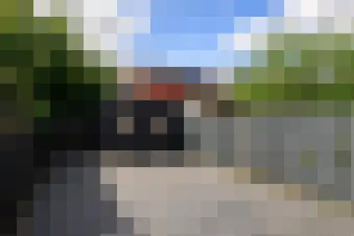 Zaaierstraat 28 Delfgauw thumbnail 18