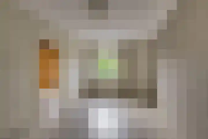 Zaaierstraat 28 Delfgauw thumbnail 24