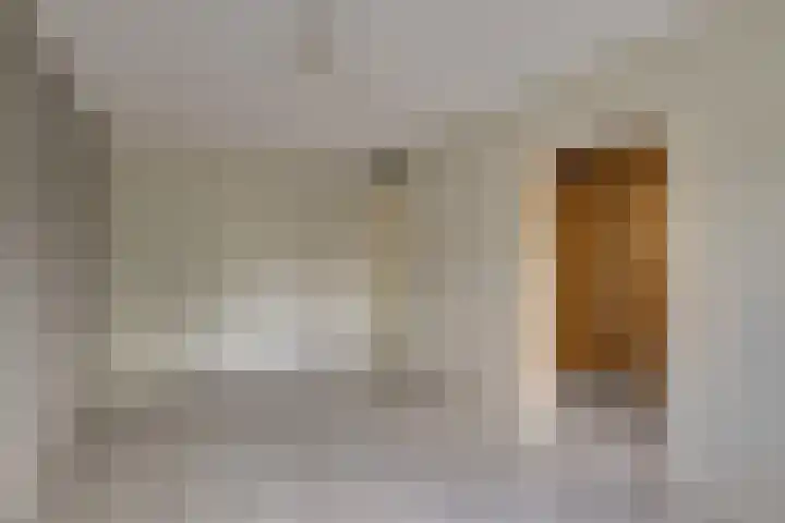 Zaaierstraat 28 Delfgauw thumbnail 25