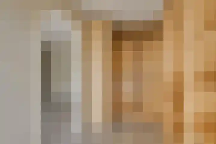 Zaaierstraat 28 Delfgauw thumbnail 28