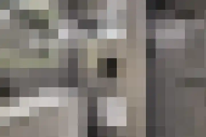 Zaaierstraat 28 Delfgauw thumbnail 30