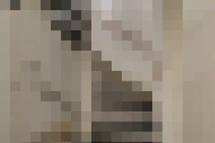 Zaaierstraat 28 Delfgauw thumbnail 31