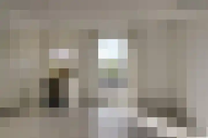 Zaaierstraat 28 Delfgauw thumbnail 37