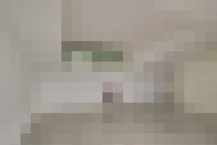 Zaaierstraat 28 Delfgauw thumbnail 38