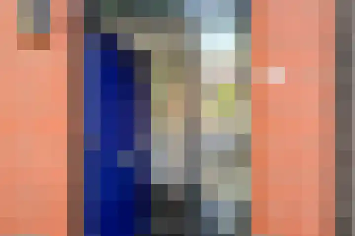 Zaaierstraat 28 Delfgauw thumbnail 4