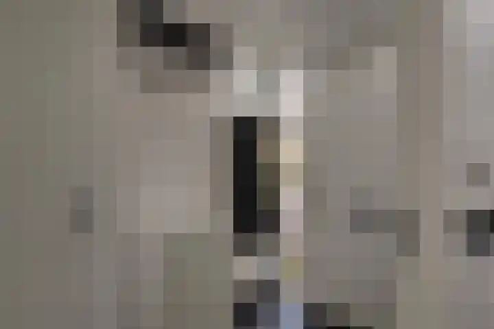 Zaaierstraat 28 Delfgauw thumbnail 5