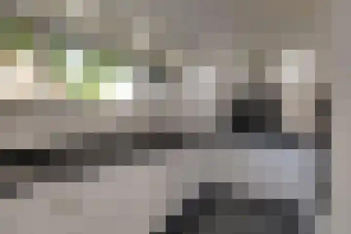 Zaaierstraat 28 Delfgauw thumbnail 6