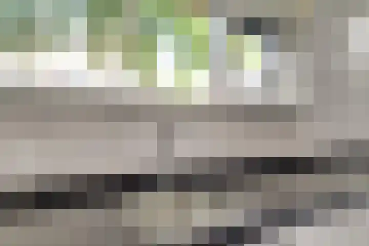 Zaaierstraat 28 Delfgauw thumbnail 7