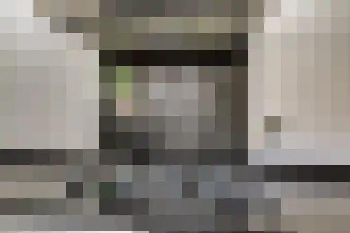 Zaaierstraat 28 Delfgauw thumbnail 9