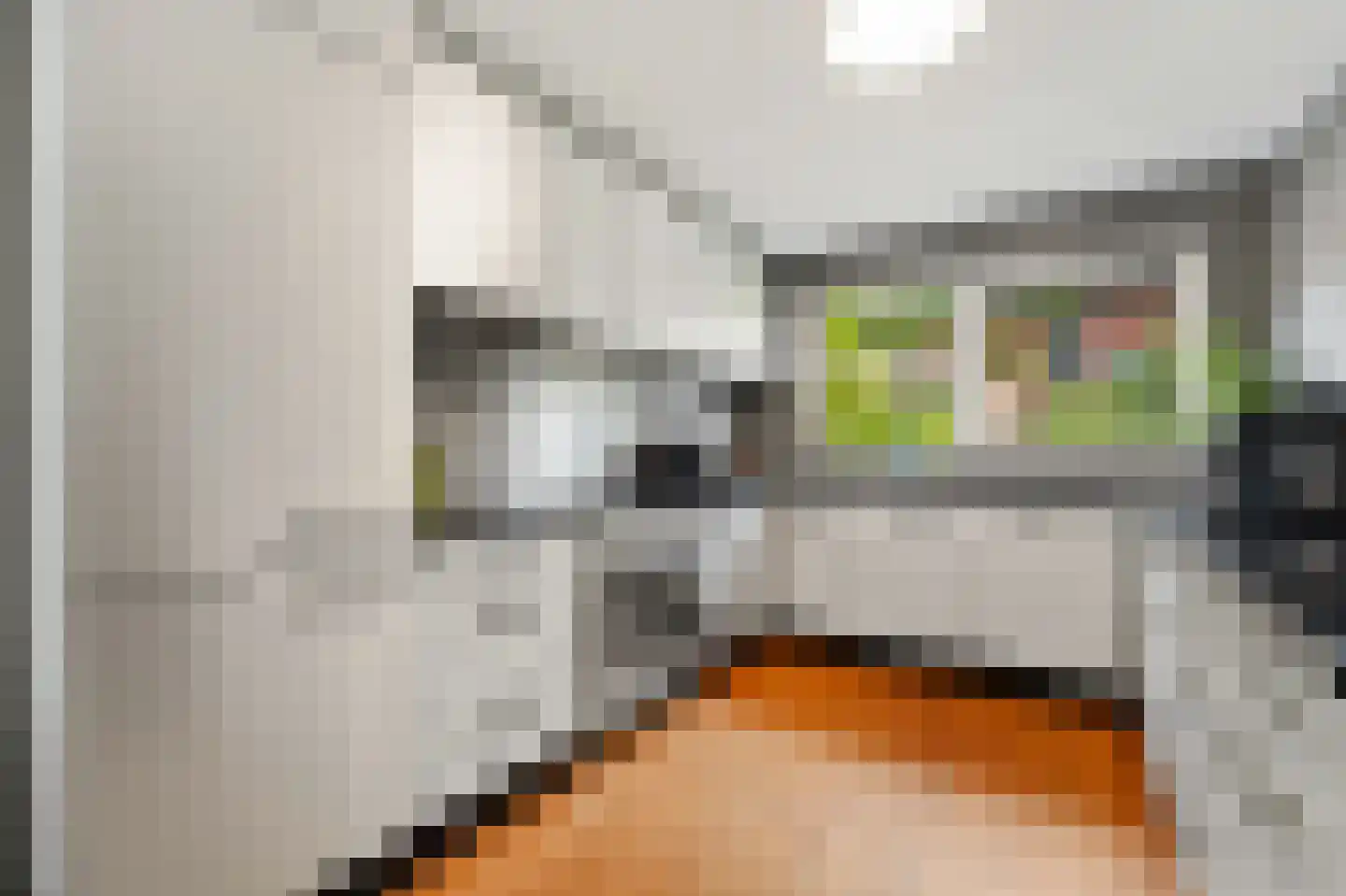 Zaaierstraat 49 Delfgauw thumbnail 15