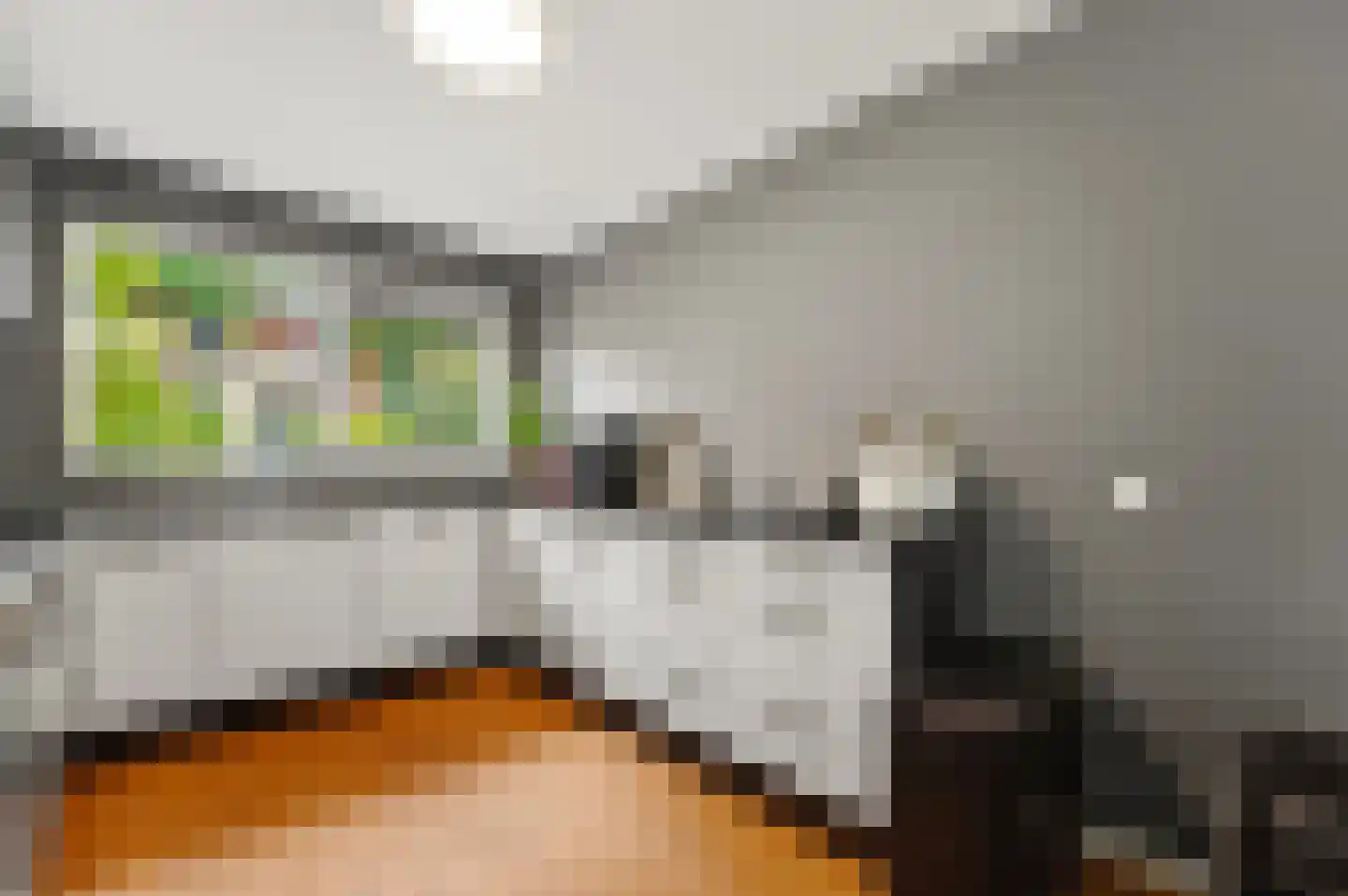 Zaaierstraat 49 Delfgauw thumbnail 17