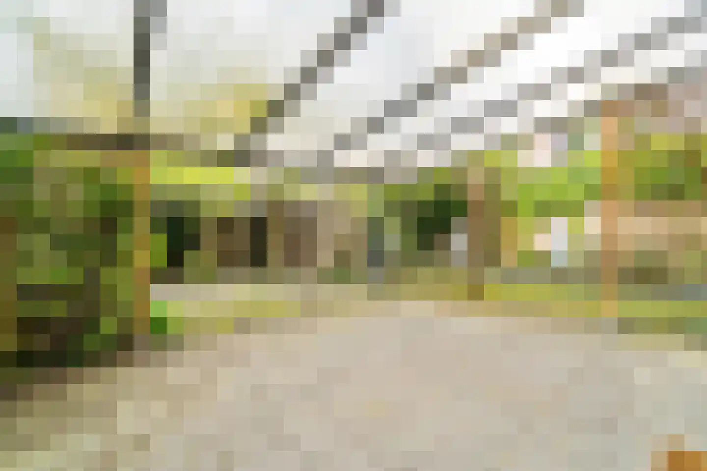 Zaaierstraat 49 Delfgauw thumbnail 18