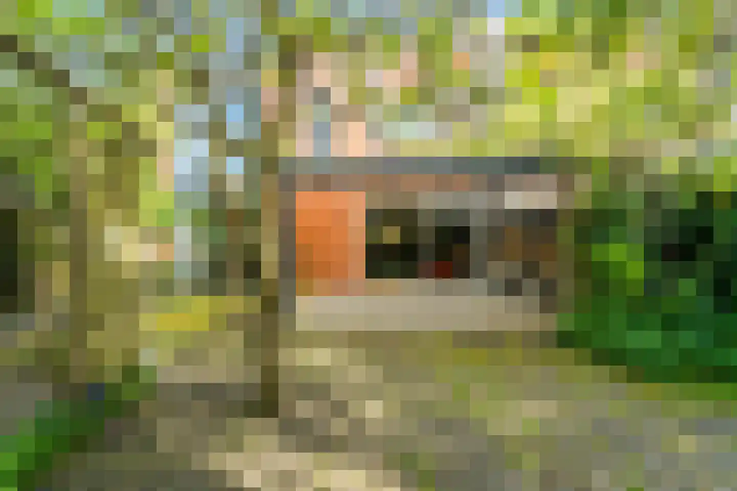 Zaaierstraat 49 Delfgauw thumbnail 19