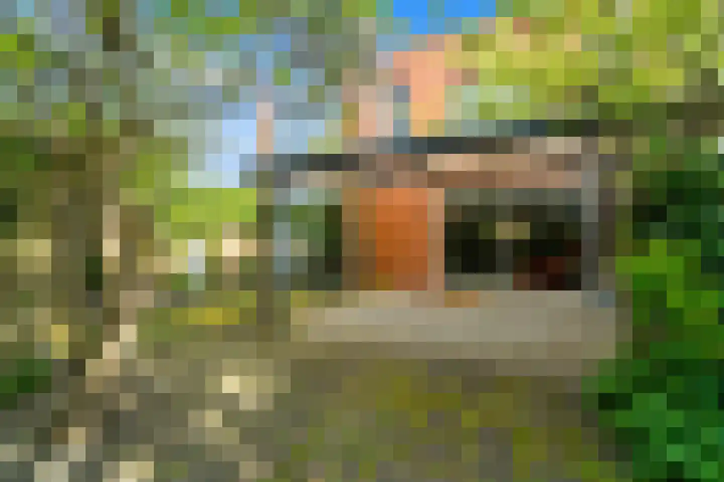 Zaaierstraat 49 Delfgauw thumbnail 20