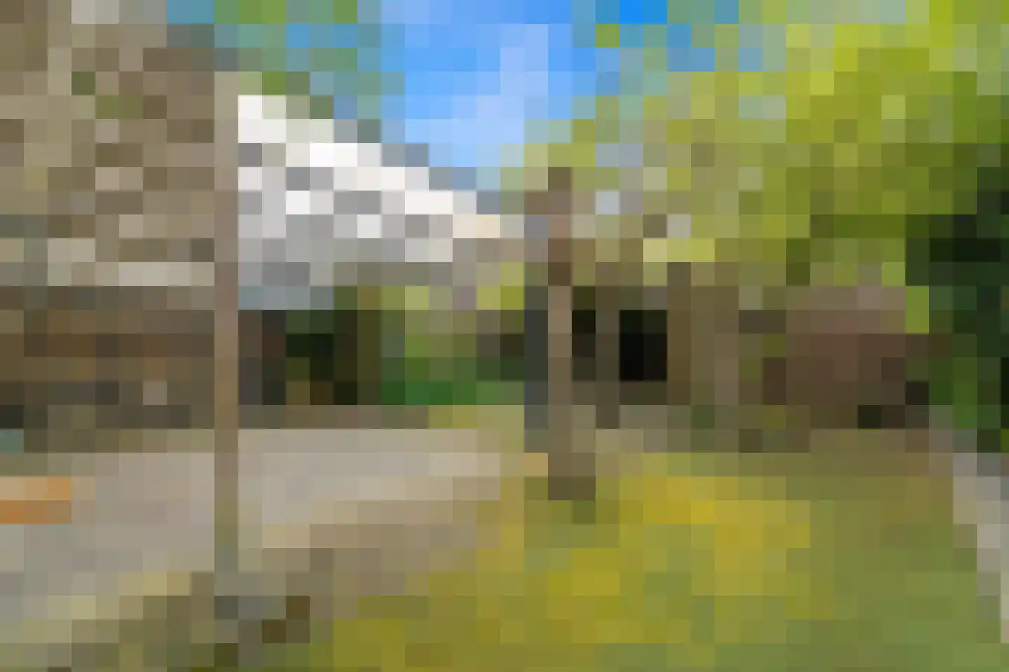 Zaaierstraat 49 Delfgauw thumbnail 21
