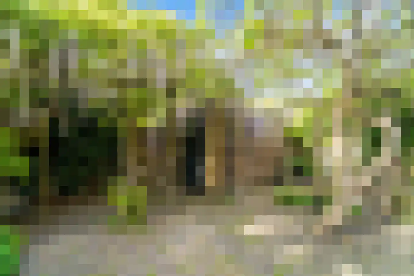 Zaaierstraat 49 Delfgauw thumbnail 22