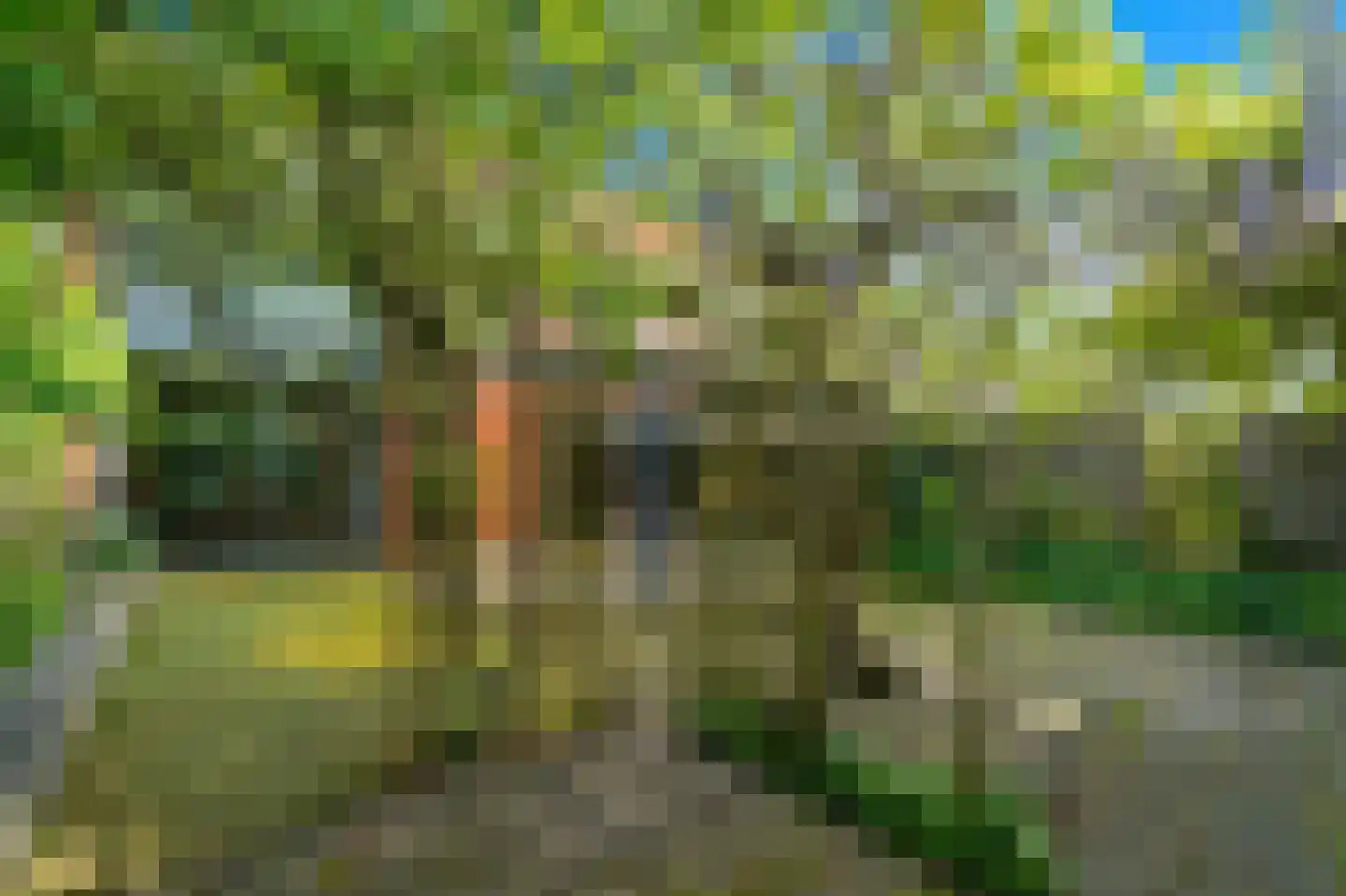 Zaaierstraat 49 Delfgauw thumbnail 23