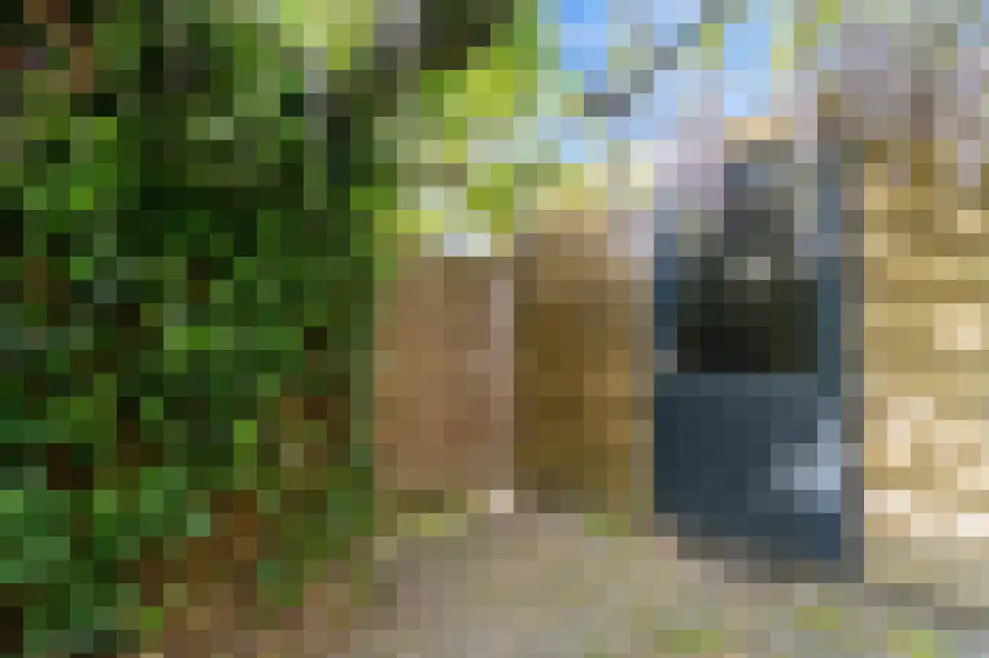 Zaaierstraat 49 Delfgauw thumbnail 24