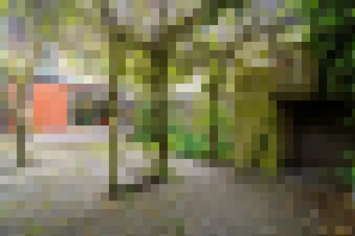 Zaaierstraat 49 Delfgauw thumbnail 25