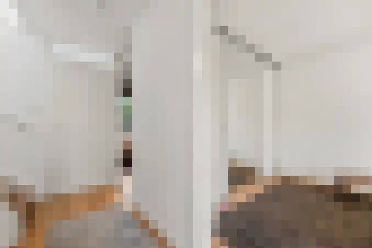 Zaaierstraat 49 Delfgauw thumbnail 33