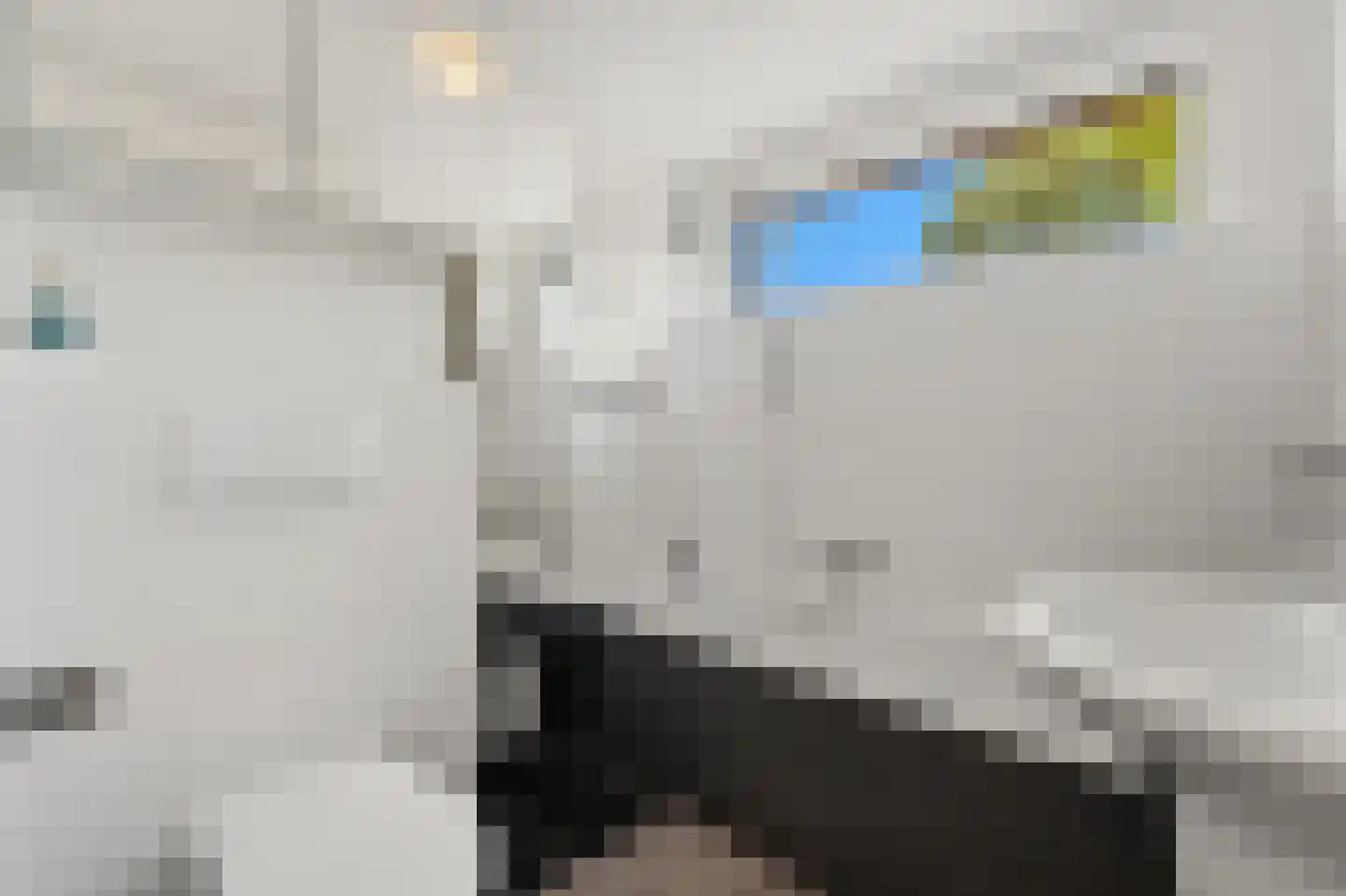 Zaaierstraat 49 Delfgauw thumbnail 34
