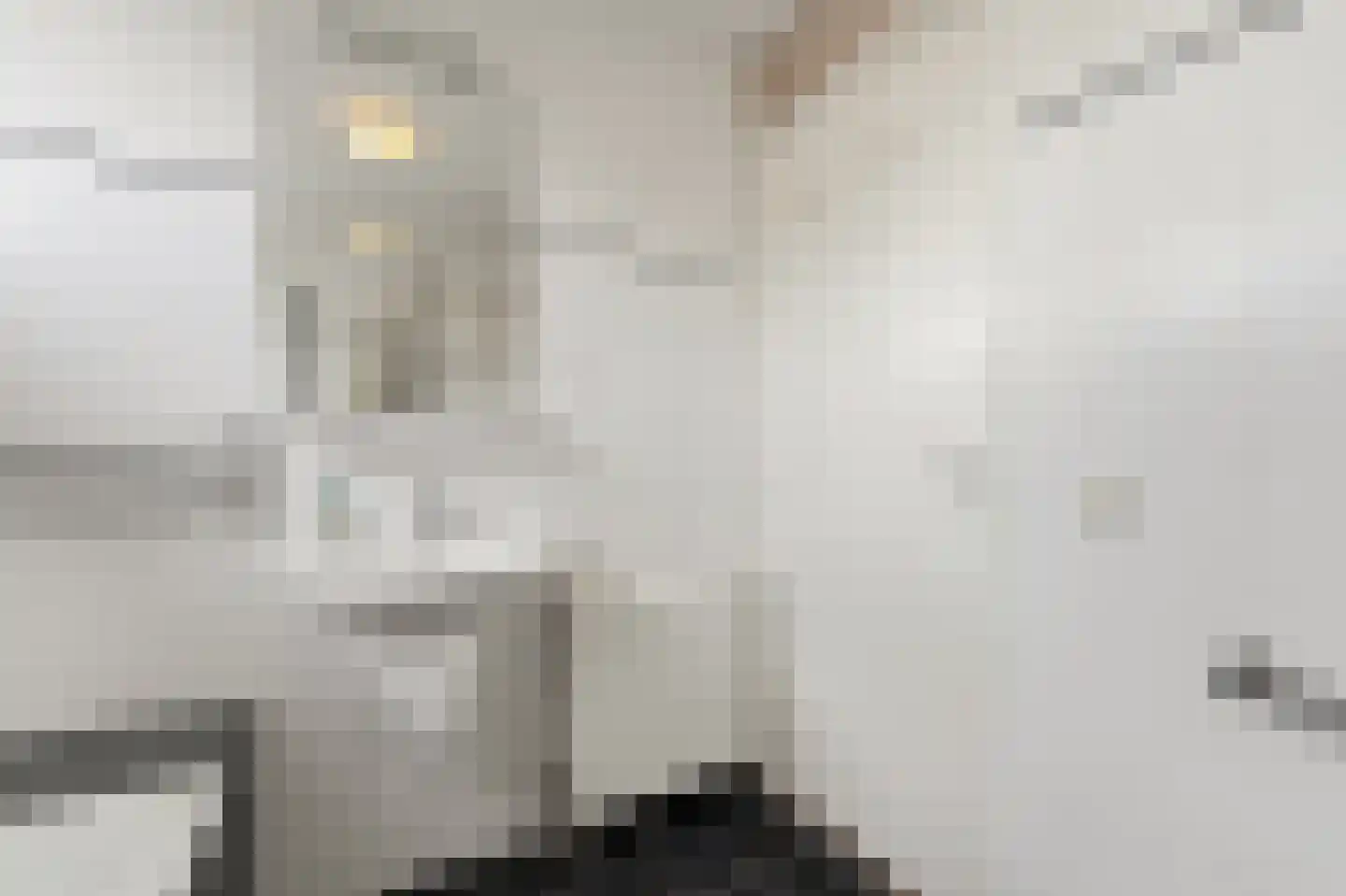 Zaaierstraat 49 Delfgauw thumbnail 35